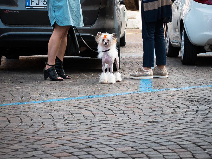 Steinpilzspezialitäten – Friaul at its best